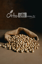 Kavrulmuş Fındık İçi 500 g - Thumbnail