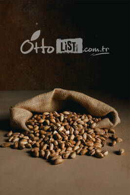 Tuzlu Kavrulmuş Antep Fıstığı 1 Kg